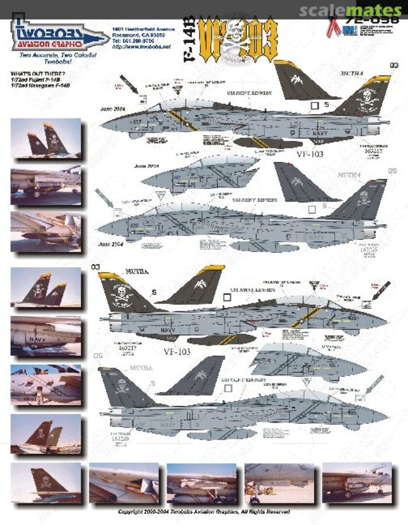 Boxart F-14B VF-103 72-038 TwoBobs Aviation Graphics