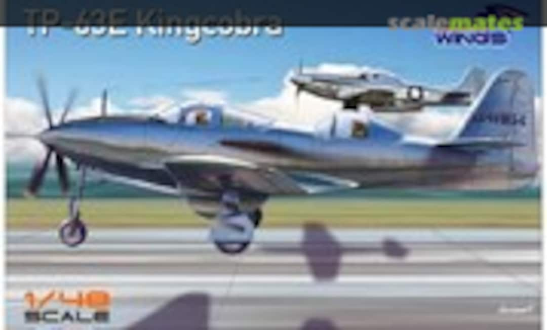 1:48 TP-63E Kingcobra (Dora Wings DW48003)