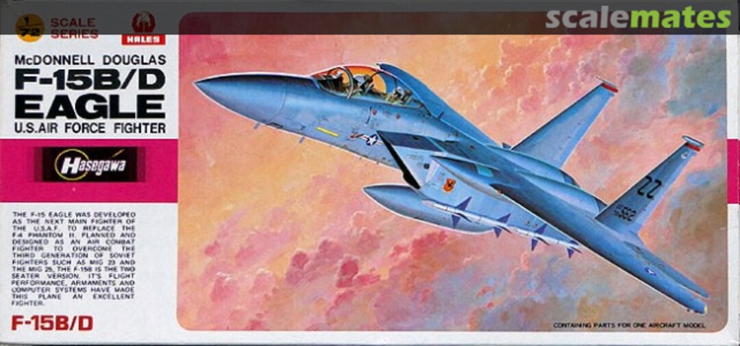 Boxart McDonnell Douglas F-15B/D Eagle E19 Hasegawa/Hales