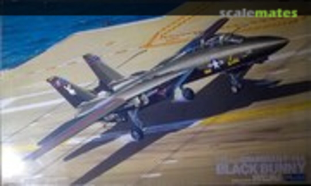 1:48 Grumman F-14A Black Bunny (Fujimi 33004)