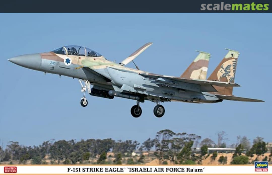 Boxart F-15I Strike Eagle `Israeli Air Force Ra'am´ 07353 Hasegawa