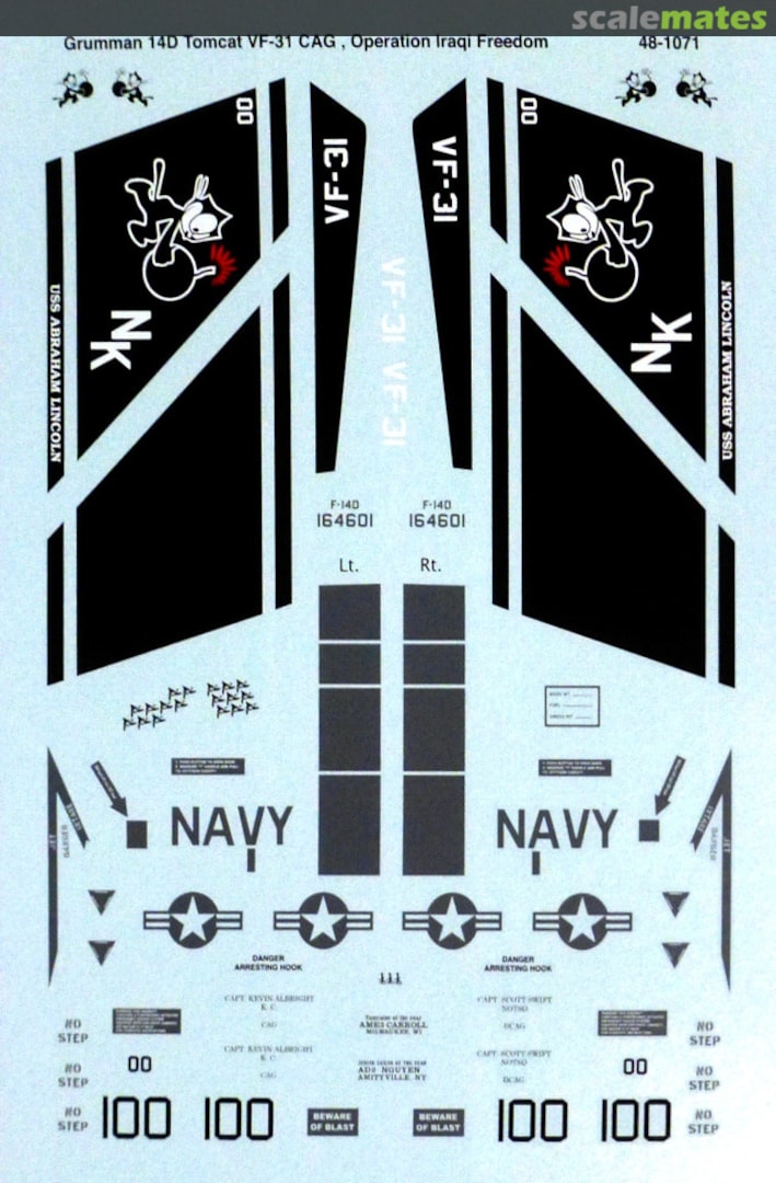 Boxart Grumman F-14D Tomcat 48-1071 Microscale