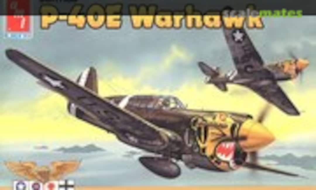 1:48 Curtiss P-40E Warhawk (AMT/ERTL 8879)