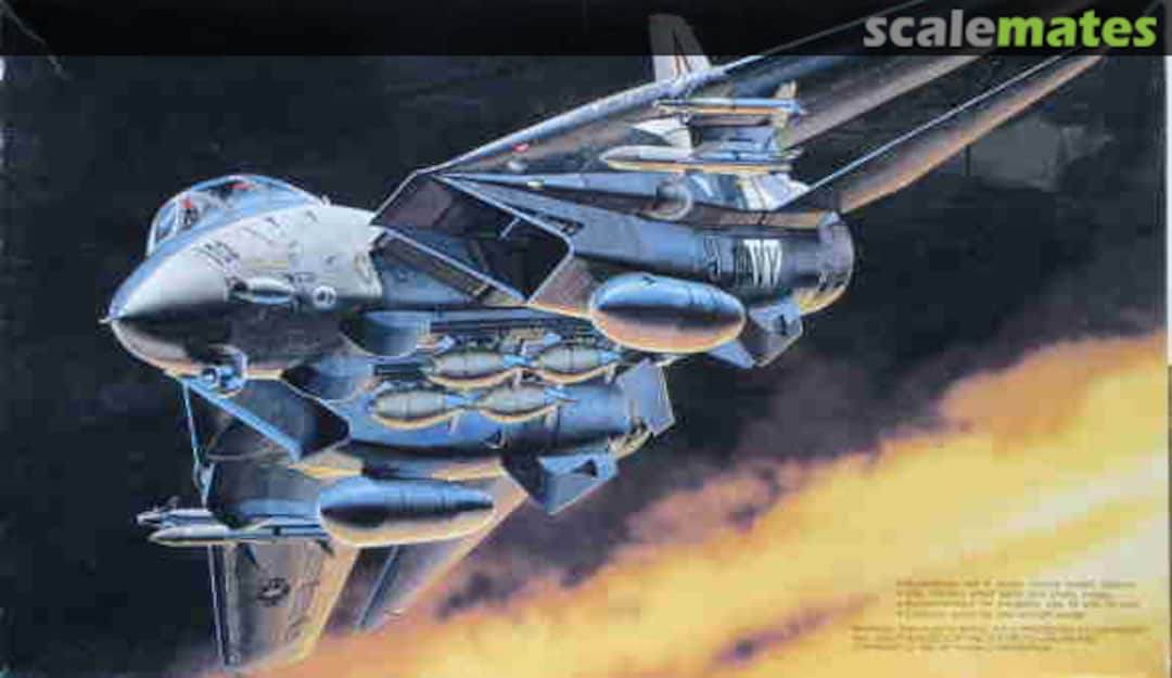 Boxart Grumman F-14A Bombcat II 28009 Fujimi