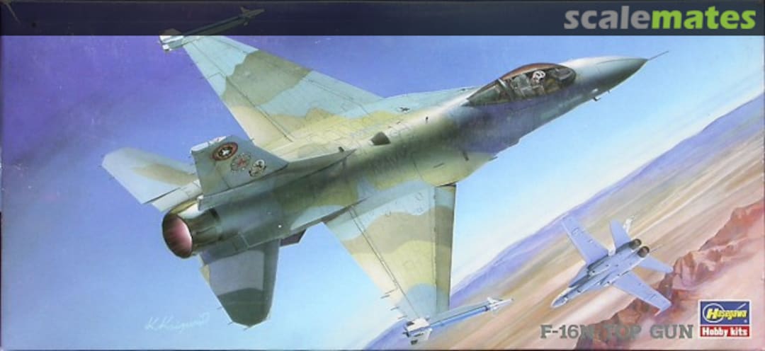 Boxart F-16N Top Gun 02718 Hasegawa