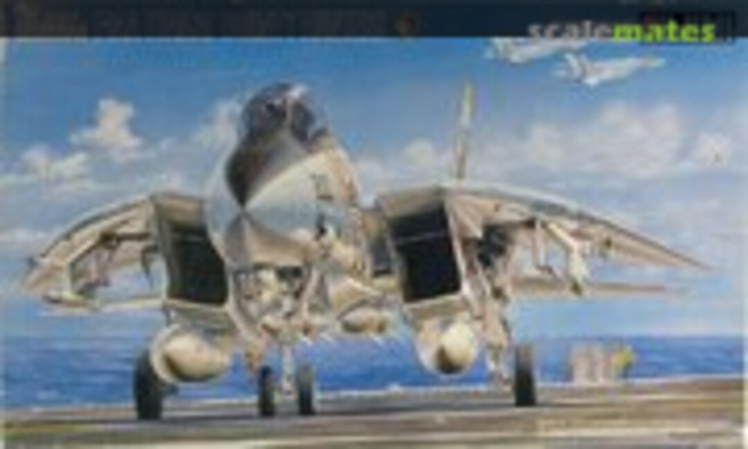 1:72 Grumman F-14A Tomcat &quot;Bounty Hunters&quot; (Fujimi 28003)