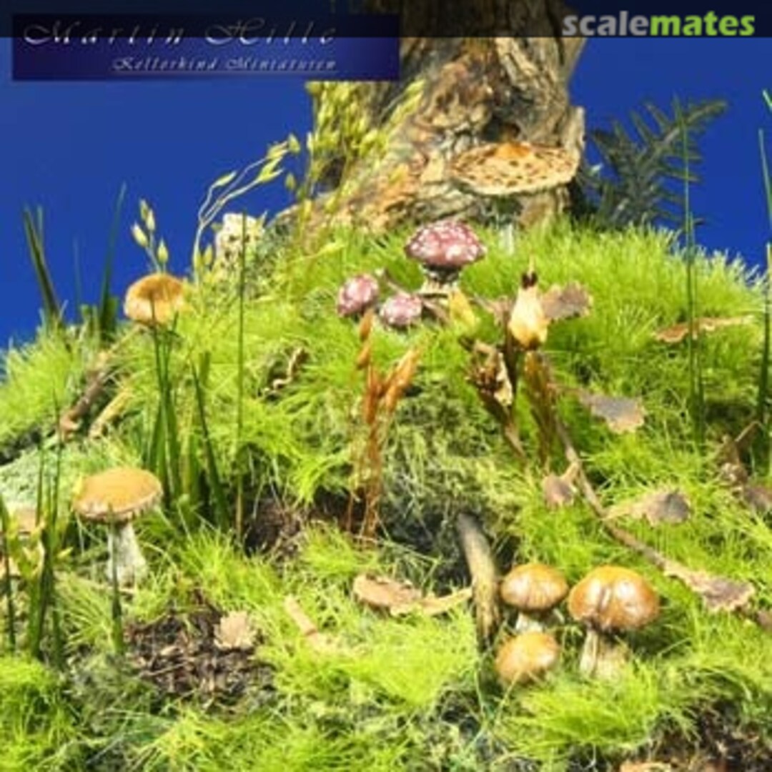 Boxart Mushrooms 40-038 Kellerkind Miniaturen