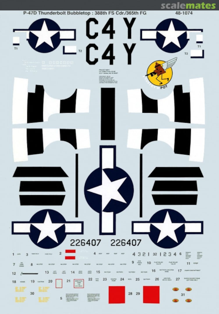 Boxart P-47D Thunderbolt Bubbletop 48-1074 Microscale