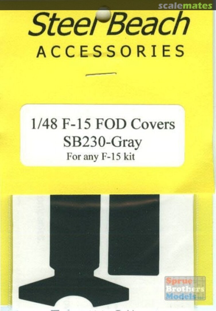 Boxart Gray F-15 Eagle FOD Covers 49030 Steel Beach