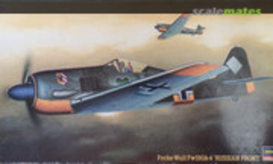 1:48 Focke-Wulf Fw190A-4 'Russian Front' (Hasegawa 09209)