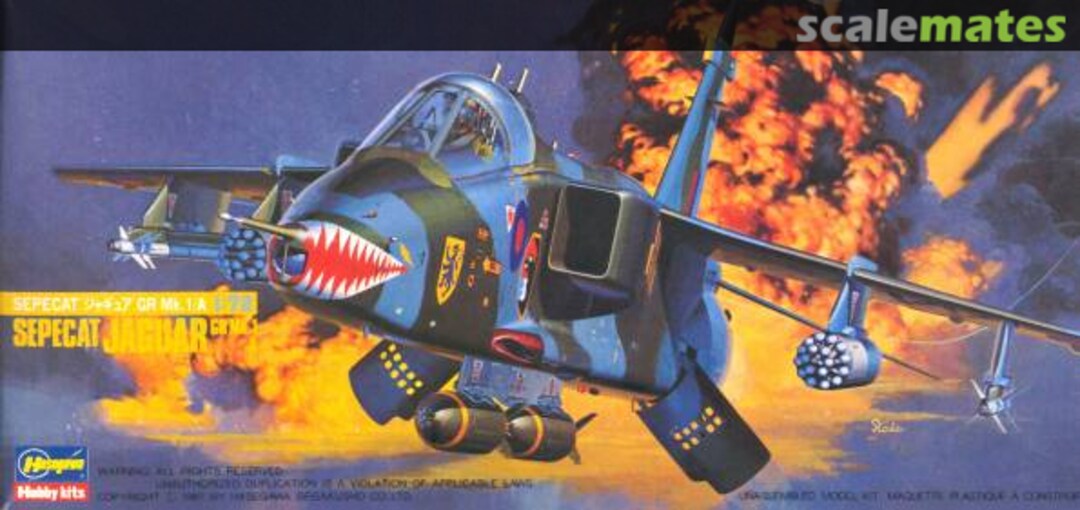 Boxart SEPECAT Jaguar GR Mk.1/A 802 Hasegawa