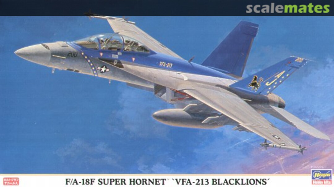 Boxart F/A-18F Super Hornet `VFA-213 Blacklions´ 00389 Hasegawa