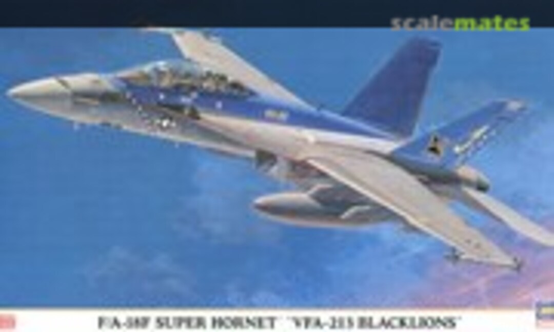 1:72 F/A-18F Super Hornet `VFA-213 Blacklions´ (Hasegawa 00389)