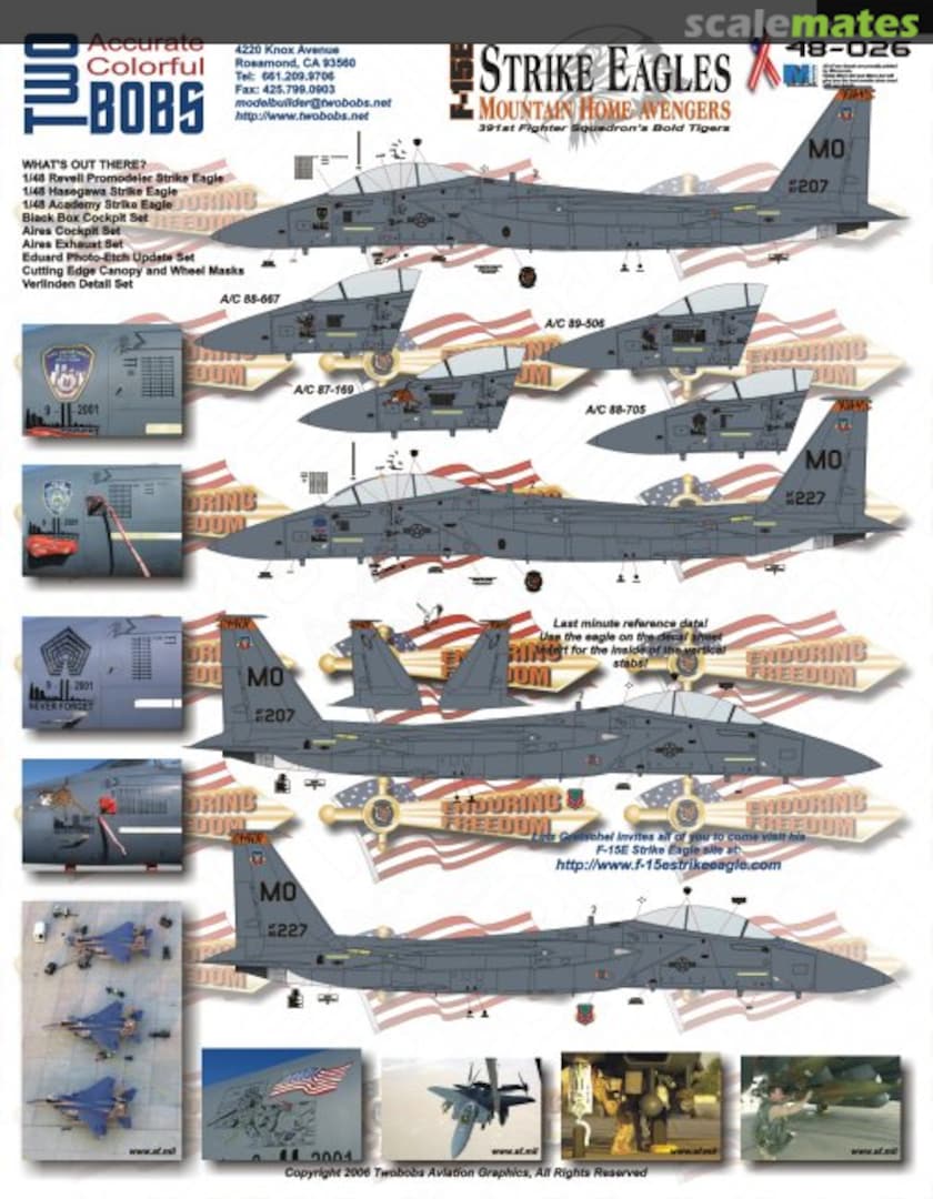 Boxart F-15E Strike Eagles - Mountain Home Avengers 48-026 TwoBobs Aviation Graphics