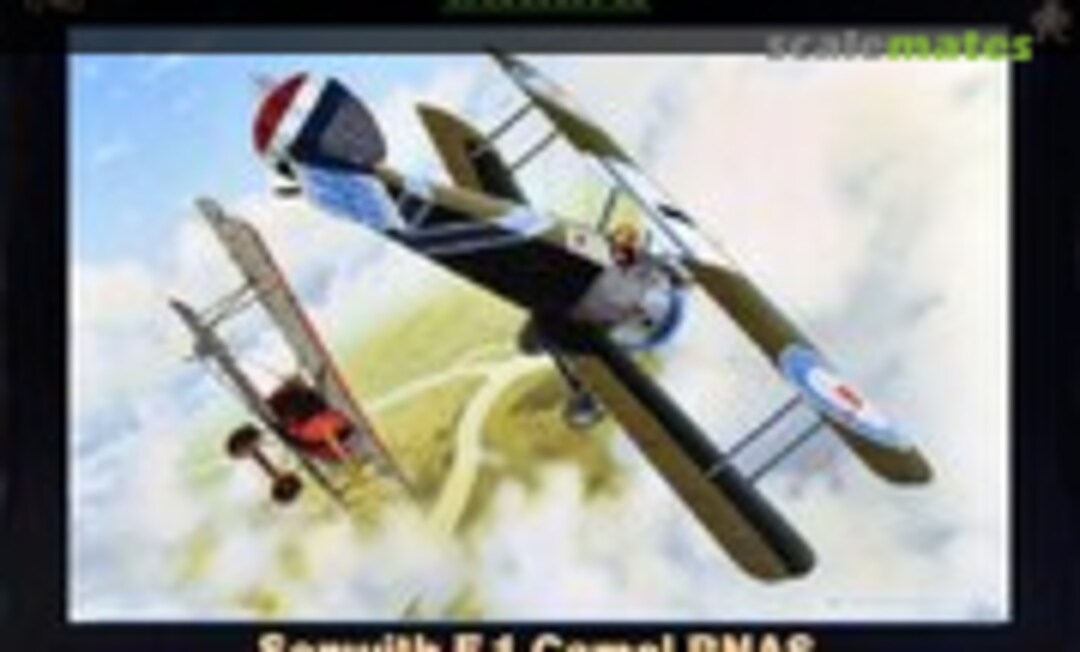 1:48 Sopwith F.1 Camel R.N.A.S. (Eduard 8055)