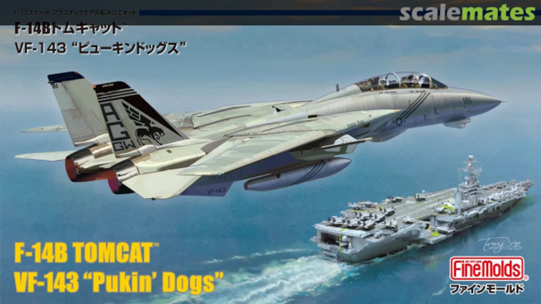 Boxart F-14B Tomcat FF01 Fine Molds