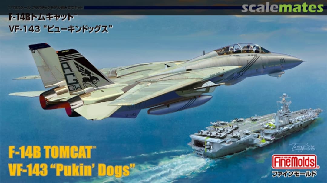 Boxart F-14B Tomcat VF-143 "Pukin' Dogs" FF01 Fine Molds