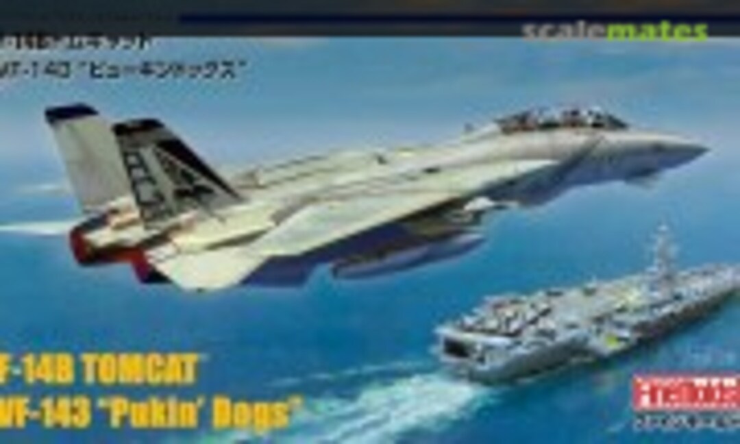 1:72 F-14B Tomcat VF-143 &quot;Pukin' Dogs&quot; (Fine Molds FF01)