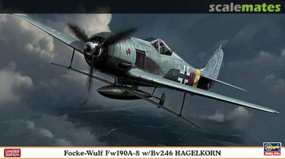 Boxart Focke-Wulf Fw190A-8 w/Bv246 Hagelkorn 09933 Hasegawa