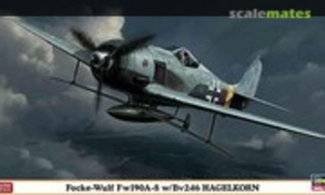 1:48 Focke-Wulf Fw190A-8 w/Bv246 Hagelkorn (Hasegawa 09933)