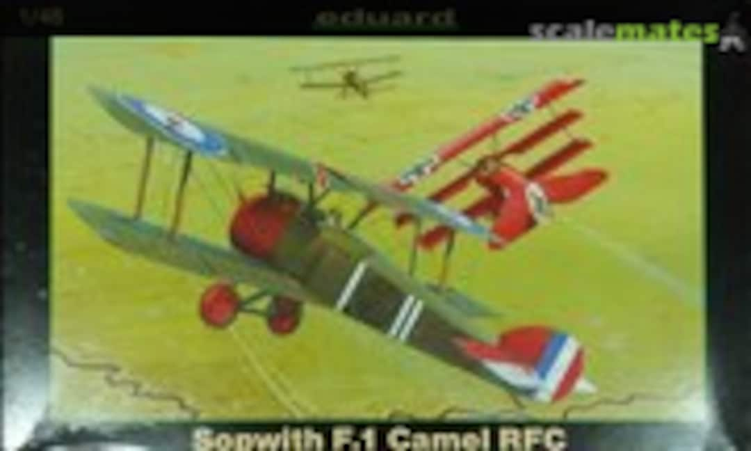 1:48 Sopwith F.1 Camel RFC (Eduard 8057)