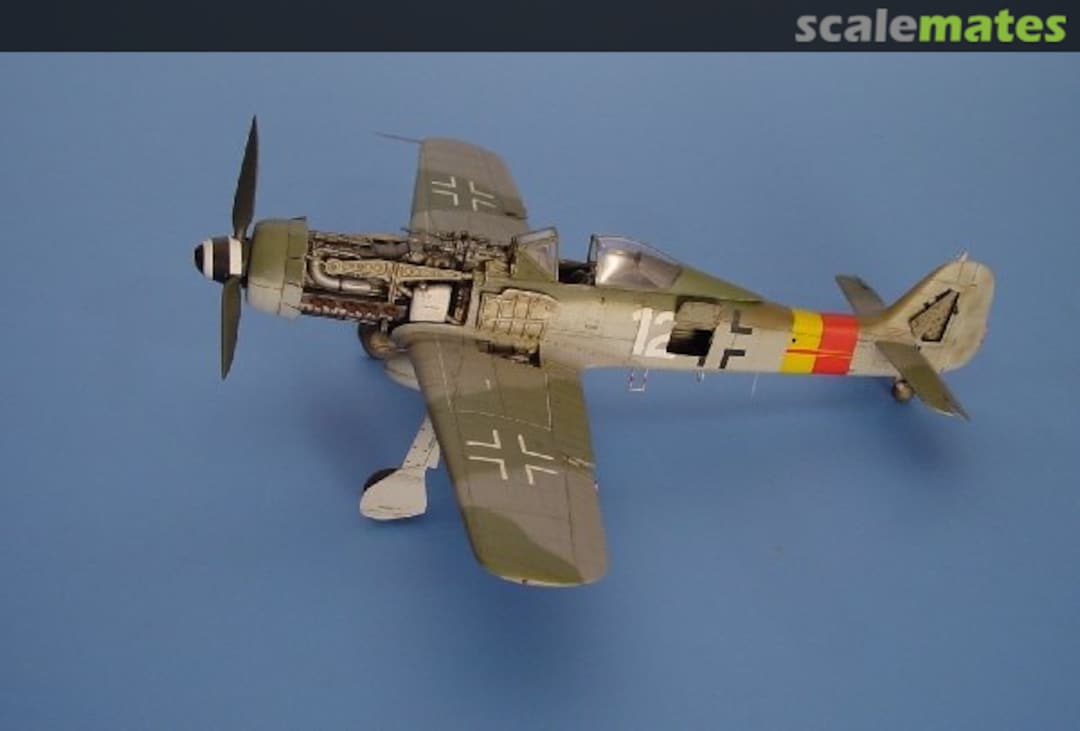 Boxart Focke-Wulf Fw 190D detail set 4019 Aires