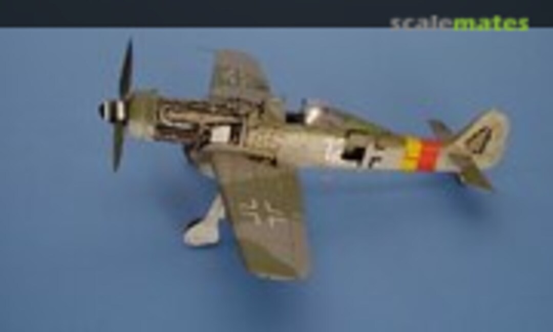 1:48 Focke-Wulf Fw 190D detail set (Aires 4019)