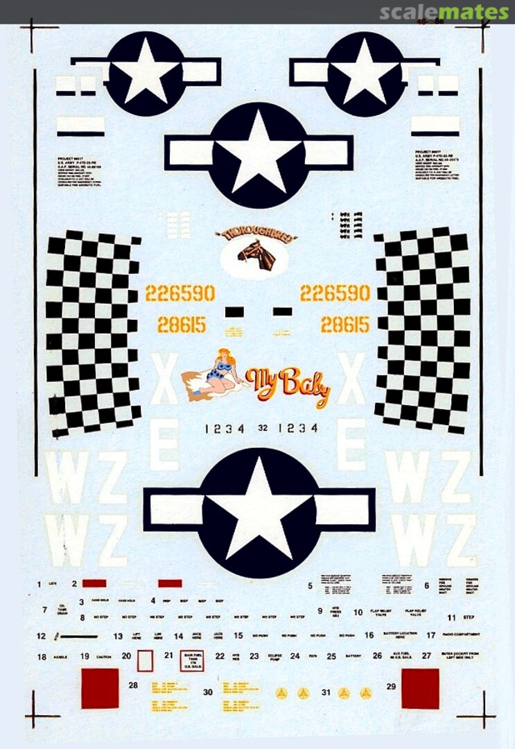 Boxart P-47D Thunderbolts 48-0588 SuperScale International