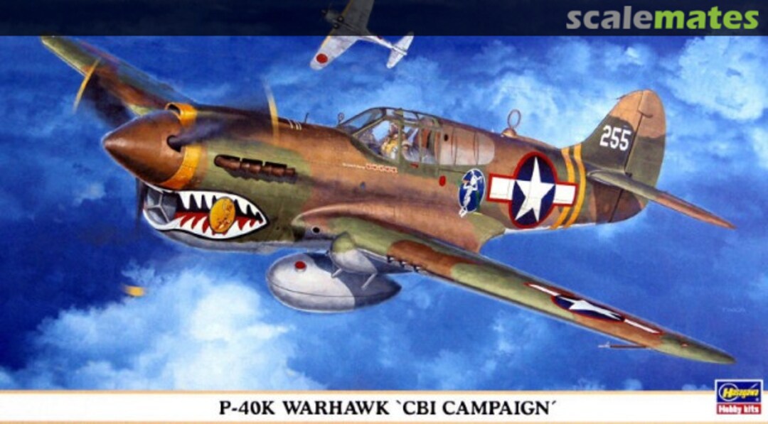 Boxart P-40K Warhawk 'CBI Campaign' 09659 Hasegawa