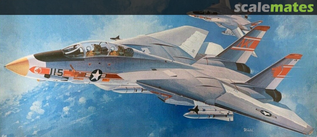 Boxart Grumman F-14A Tomcat JS-134 Hasegawa