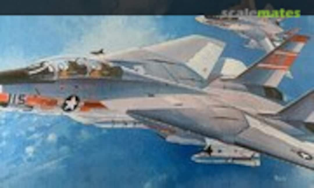 1:72 Grumman F-14A Tomcat (Hasegawa JS-134)