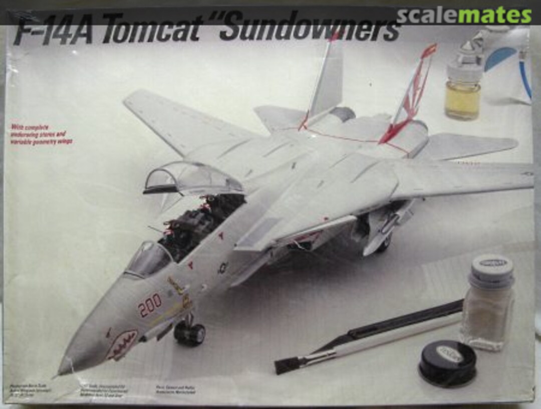 Boxart F-14A Tomcat 327 Testors