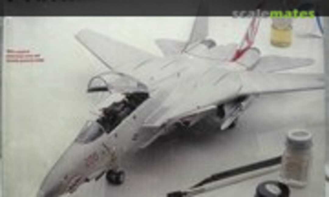 1:48 F-14A Tomcat (Testors 327)