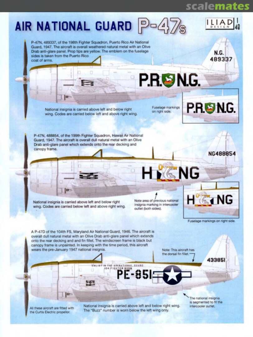 Boxart Air National Guard P-47s 48029 Iliad Design