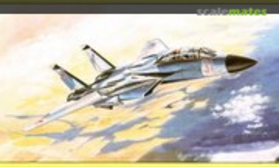 1:72 MDD F-14A Tomcat (Bilek 945)