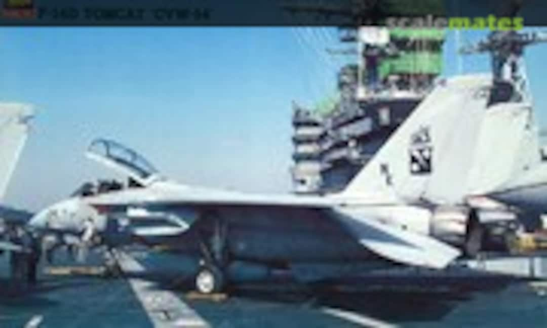 1:48 F-14D Tomcat `CVW-14´ (Hasegawa 07212)