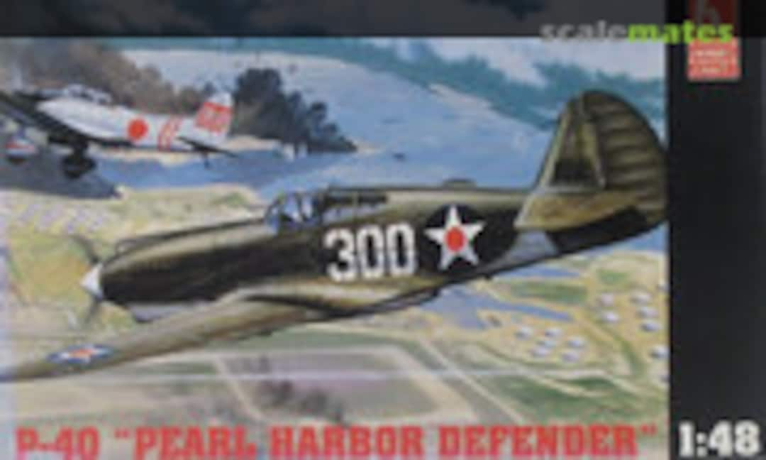 1:48 P-40 &quot;Pearl Harbor Defender&quot; (Hobbycraft HC1450)