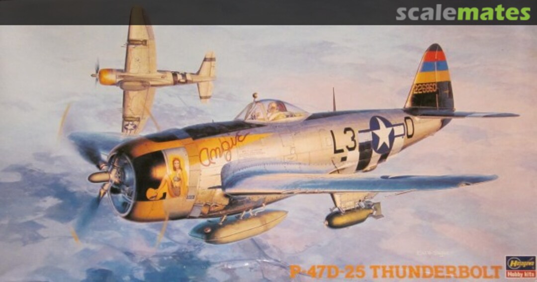 Boxart P-47D-25 Thunderbolt 09140 Hasegawa