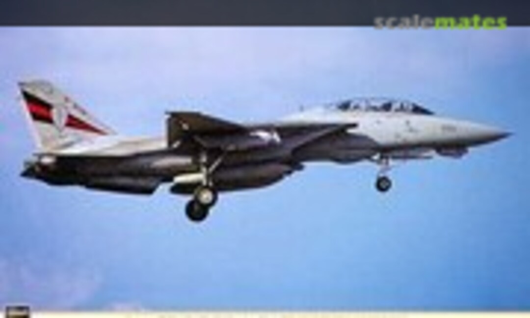 1:48 F-14A Tomcat `Black Knights History´ (Hasegawa 09884)