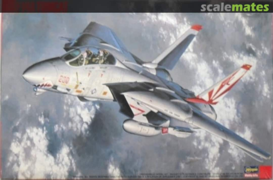 Boxart F-14A Tomcat 52613 (SL13) Hasegawa