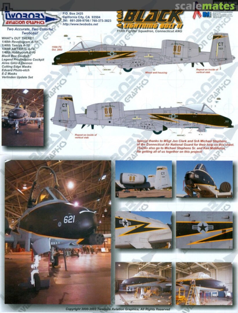 Boxart A-10A Black Lightning Bolt II 48-065 TwoBobs Aviation Graphics