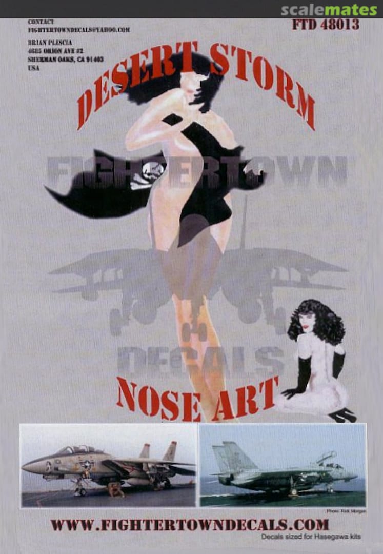 Boxart Desert Storm Nose Art 48013 Fightertown Decals