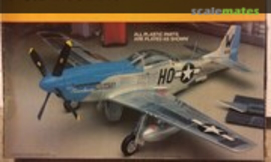 1:48 P-51D Mustang (Testors 208)