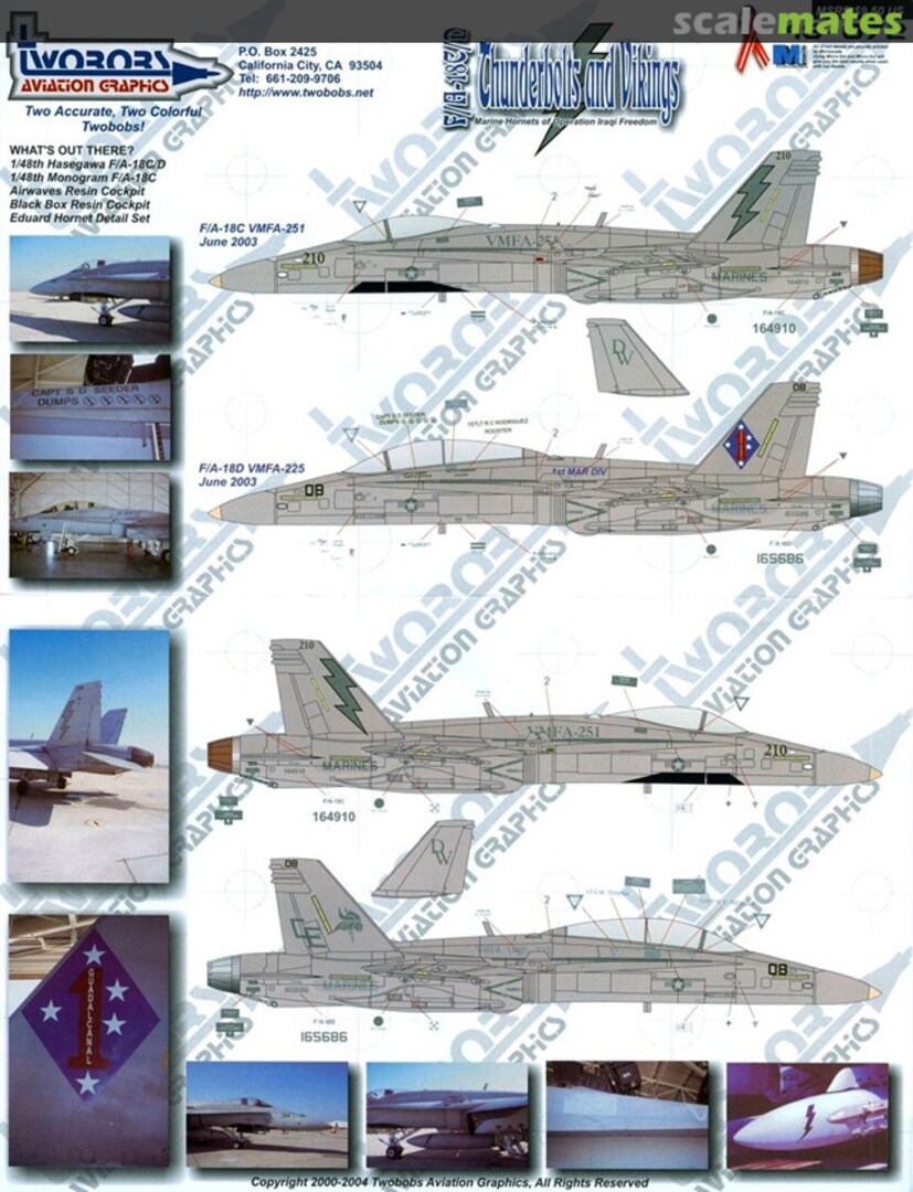 Boxart F/A-18C/D Thunderbolts and Vikings 48-072 TwoBobs Aviation Graphics