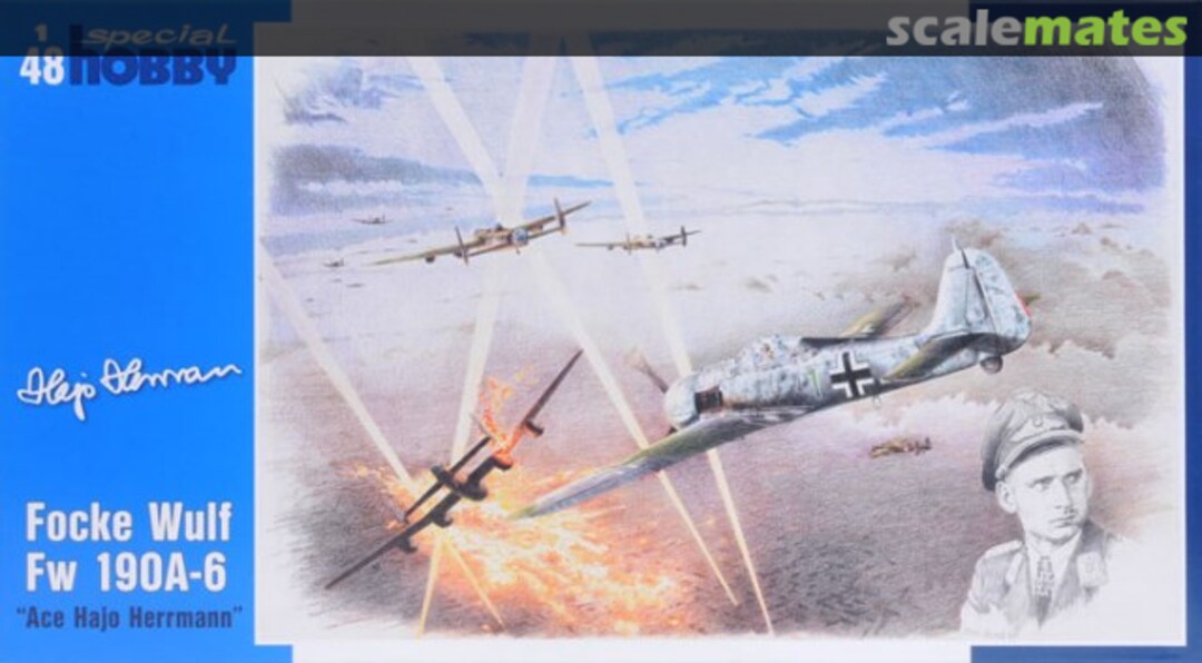 Boxart Focke-Wulf Fw 190A-6 "Ace Hajo Herrmann" RK001 Special Hobby