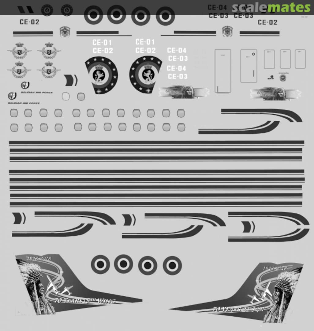 Boxart Embraer ERJ135 erj135 Stropdecal