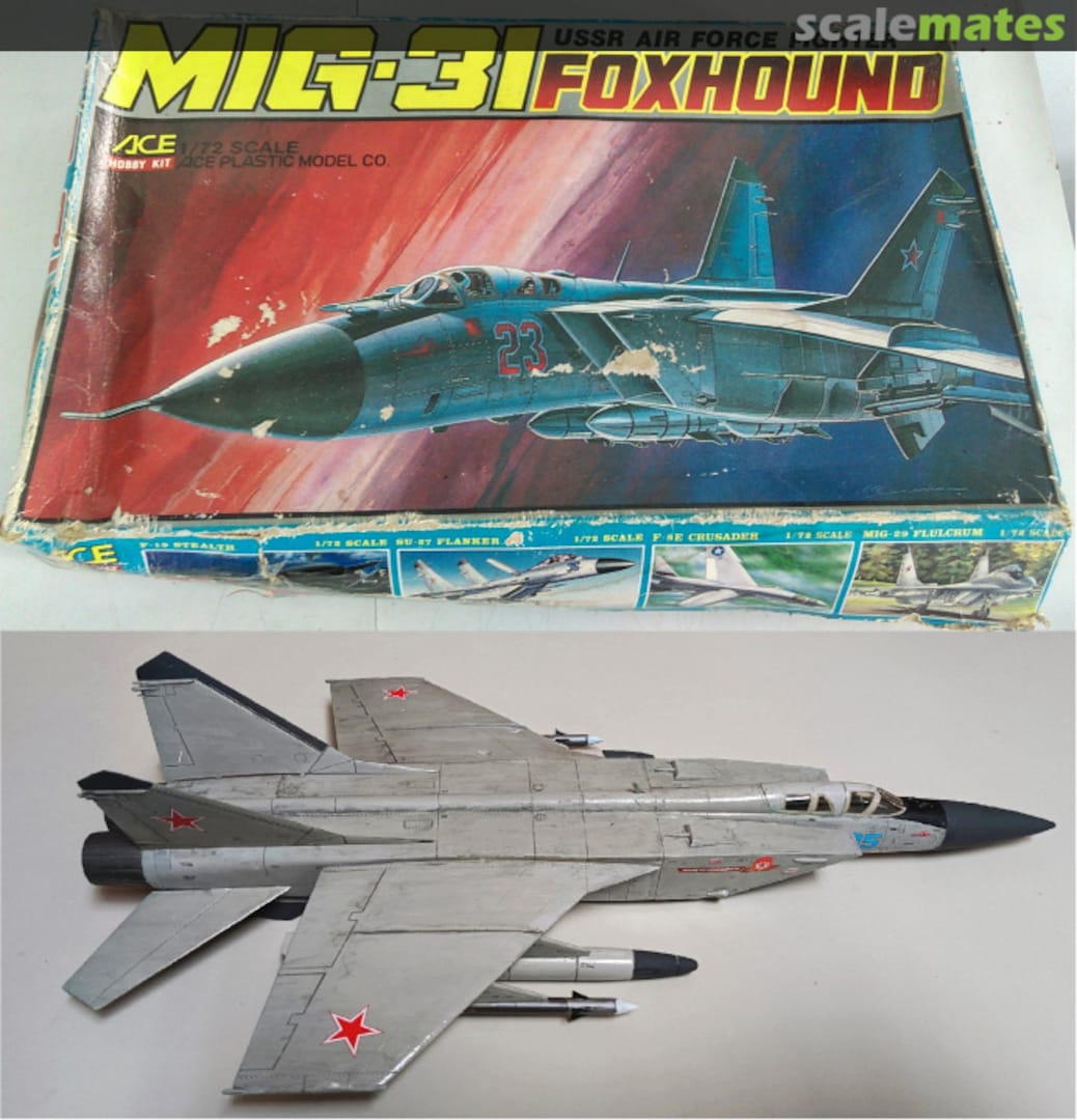 Contents Mikoyan-Gurevich MiG-31 Foxhound 1037 ACE Hobby Kit