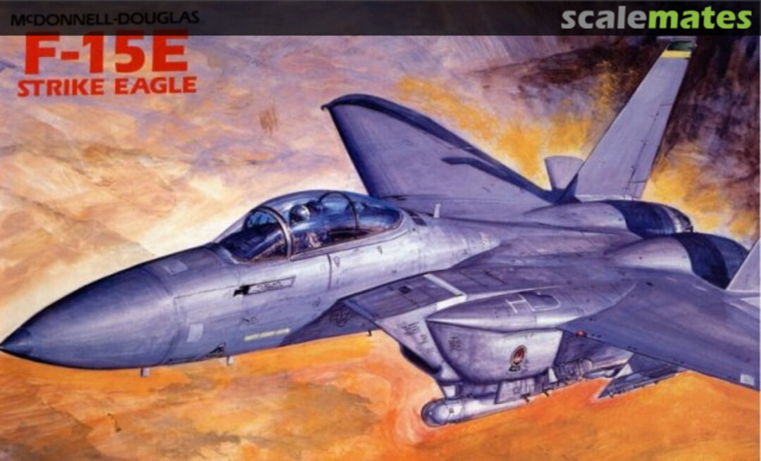 Boxart F-15E Strike Eagle 1687 Academy