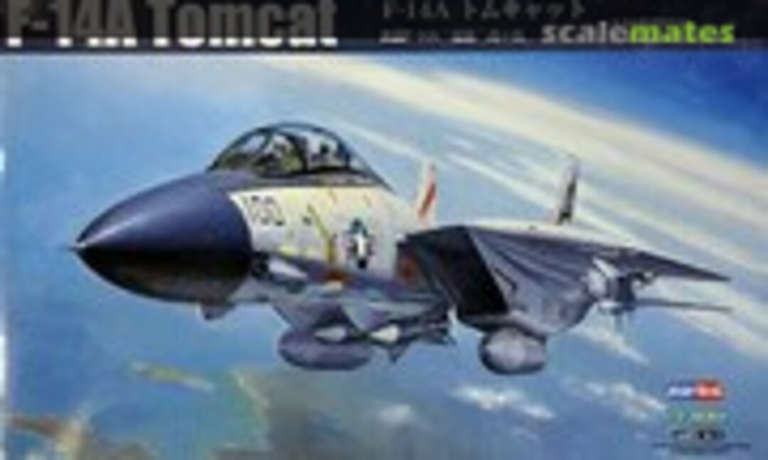 1:72 F-14A Tomcat (HobbyBoss 80276)