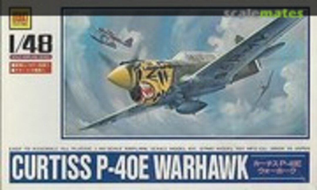 1:48 Curtiss P-40E Warhawk (Otaki OT2-16-600)